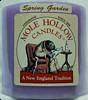 Mole Hollow 3" Wide x 3" Tall Pillar Candle - Spring Garden